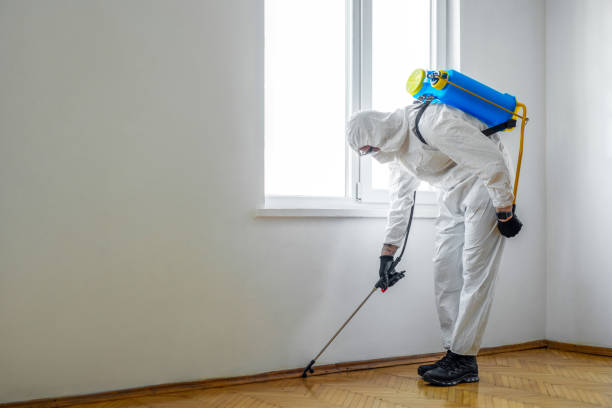 Pest Control Cost in Solon, IA