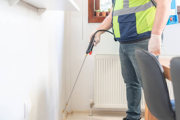 Best Pest Control Near Me  in Solon, IA