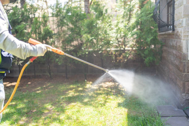 Best Wildlife Control Services  in Solon, IA